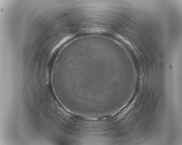 X0000087541306200705041253