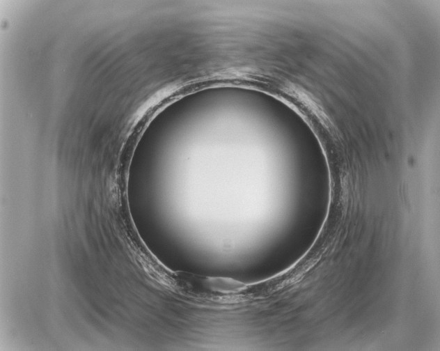 X0000087541308200705041253