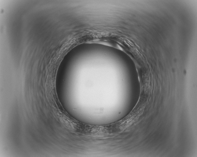 X0000087541345200705041252