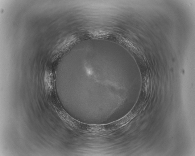 X0000087541346200705041252