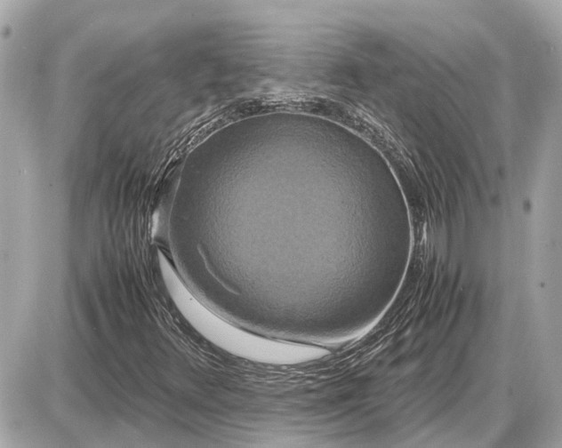 X0000087541348200705041252