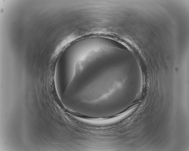 X0000087541359200705041252