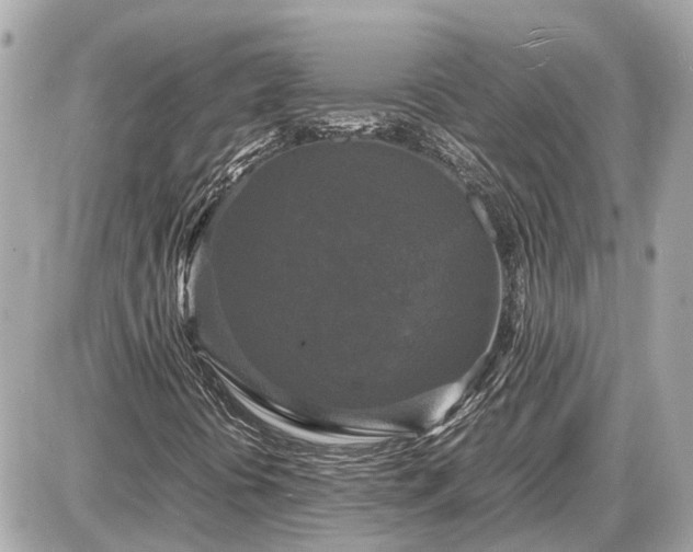 X0000087541394200705041251