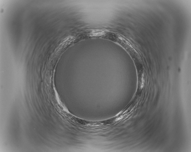 X0000087541441200705041251