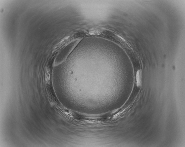 X0000087541443200705041251