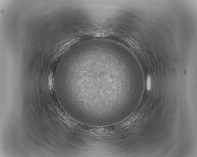X0000087541444200705041251