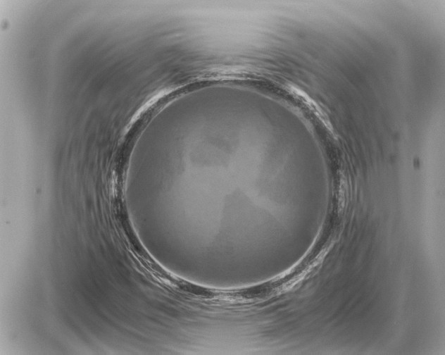 X0000087541449200705041251