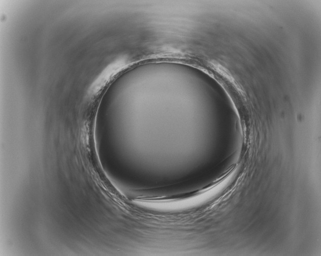 X0000087541455200705041251