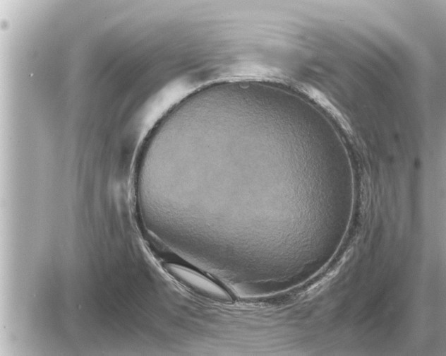 X0000087541469200705041250