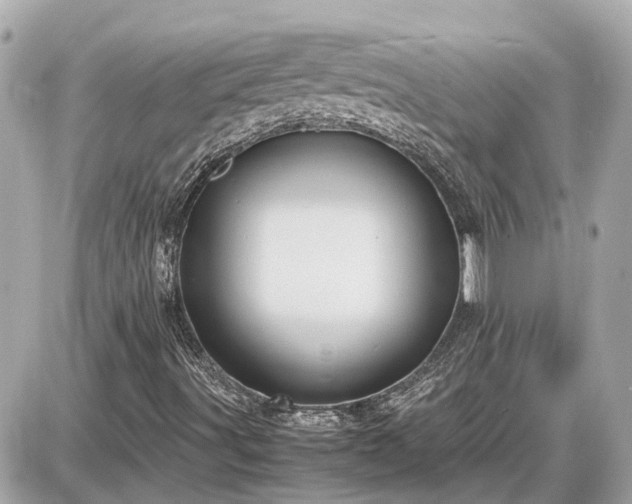X0000087541491200705041249