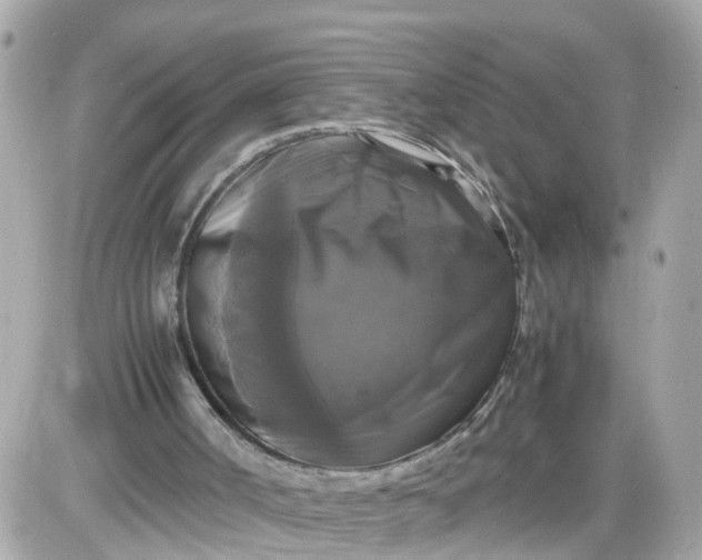 X0000087540002200705112108