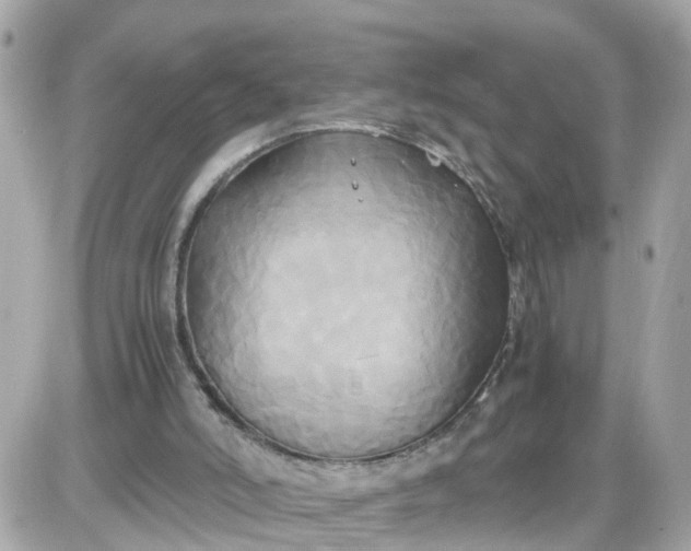X0000087540006200705112108