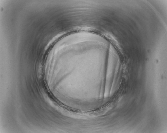 X0000087540012200705112108