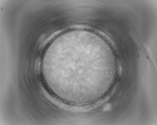 X0000087540016200705112108