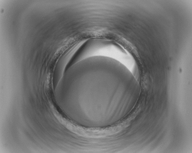 X0000087540018200705112108