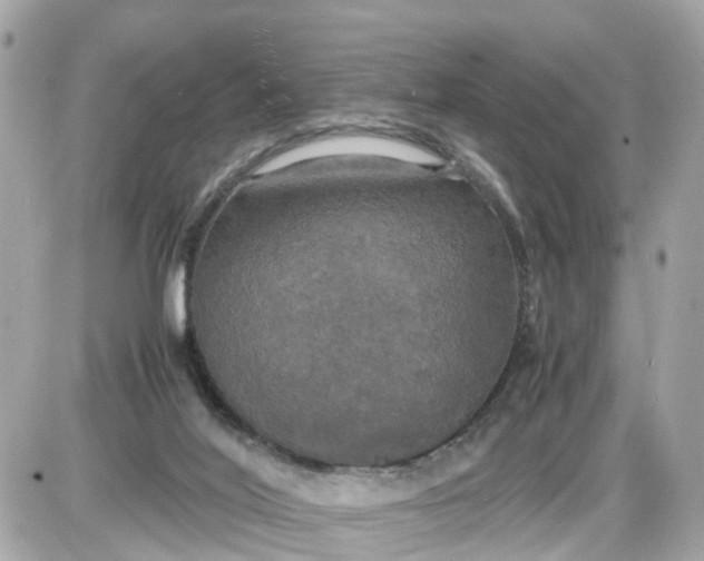X0000087540020200705112108