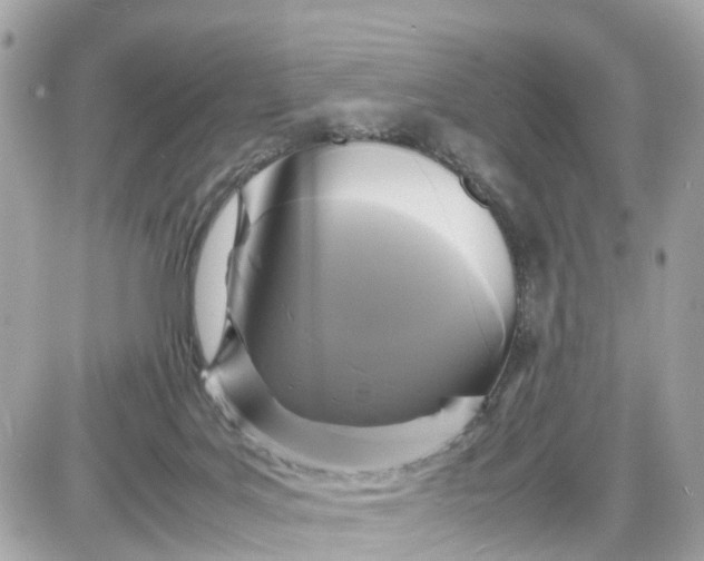 X0000087540027200705112107