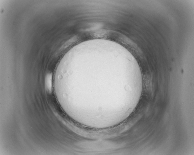 X0000087540028200705112107
