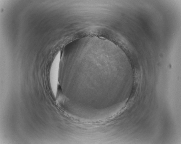 X0000087540029200705112107