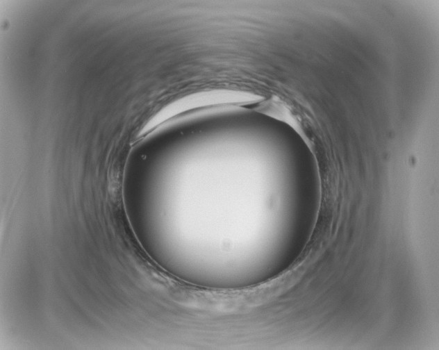 X0000087540033200705112107
