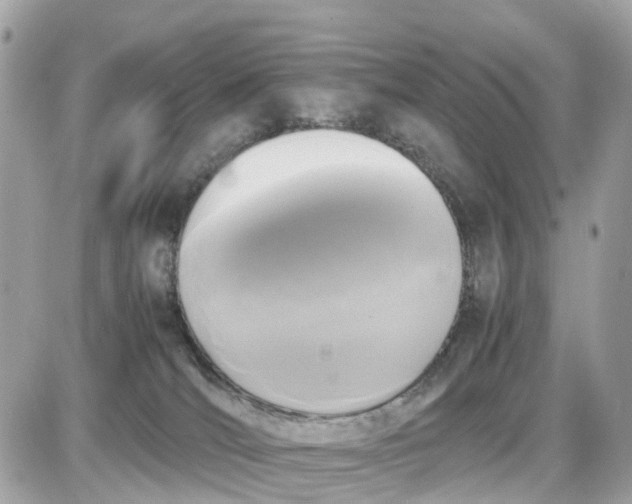 X0000087540036200705112107