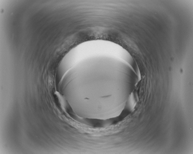 X0000087540039200705112107