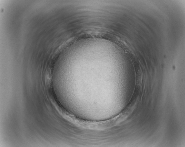 X0000087540040200705112107