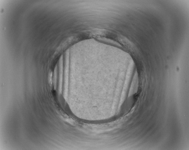 X0000087540041200705112107