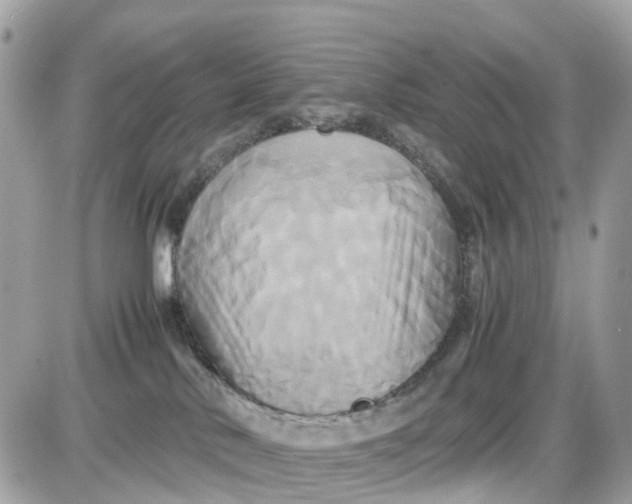 X0000087540042200705112107
