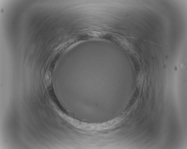 X0000087540043200705112107