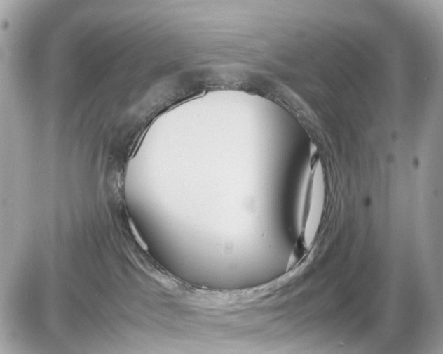 X0000087540045200705112107