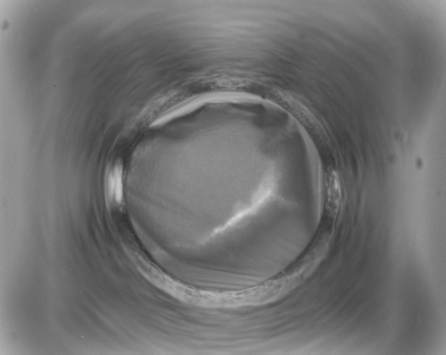 X0000087540046200705112107