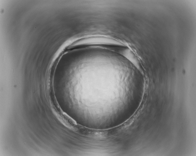 X0000087540056200705112106