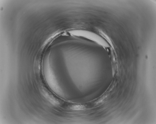 X0000087540059200705112106