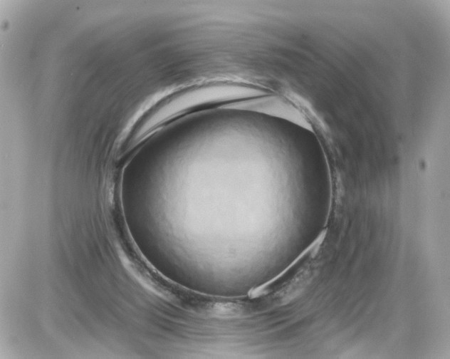 X0000087540060200705112107