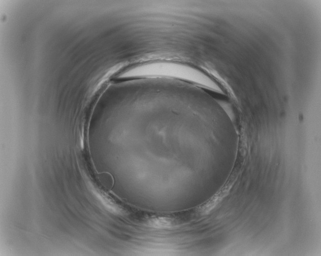 X0000087540062200705112107