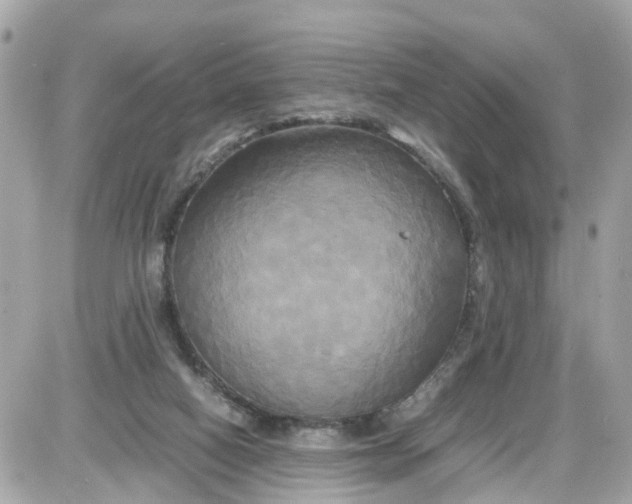 X0000087540066200705112107