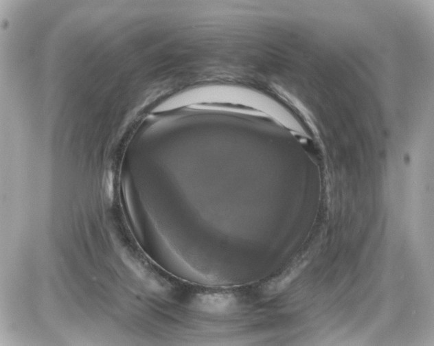 X0000087540067200705112107