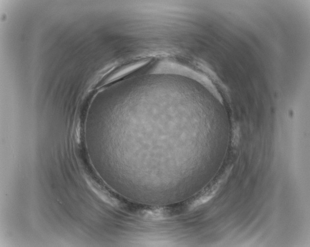 X0000087540068200705112107