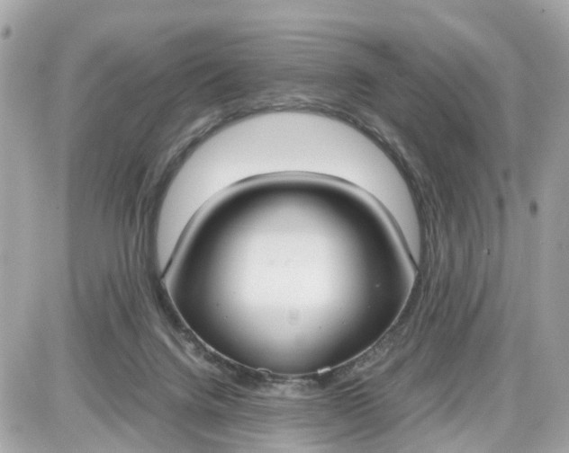 X0000087540072200705112107