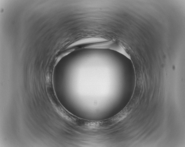 X0000087540084200705112107