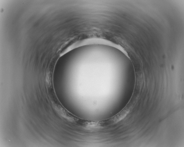X0000087540088200705112107