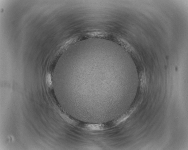 X0000087540089200705112107