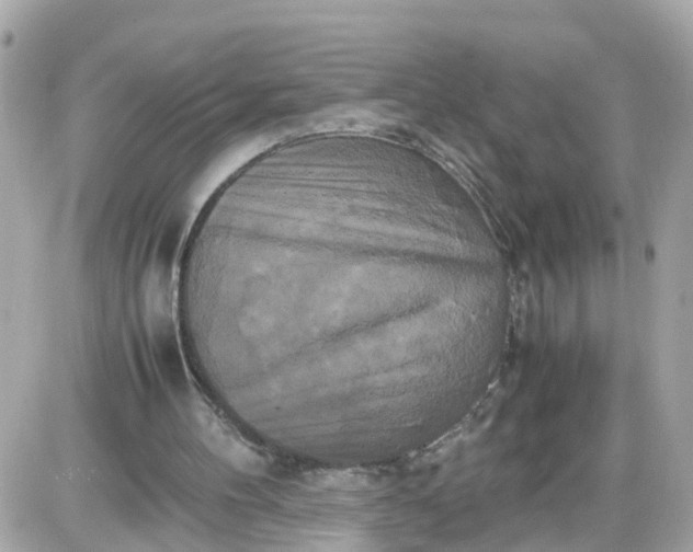 X0000087540100200705112106