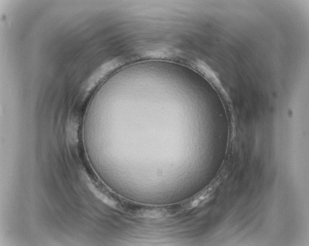 X0000087540106200705112106