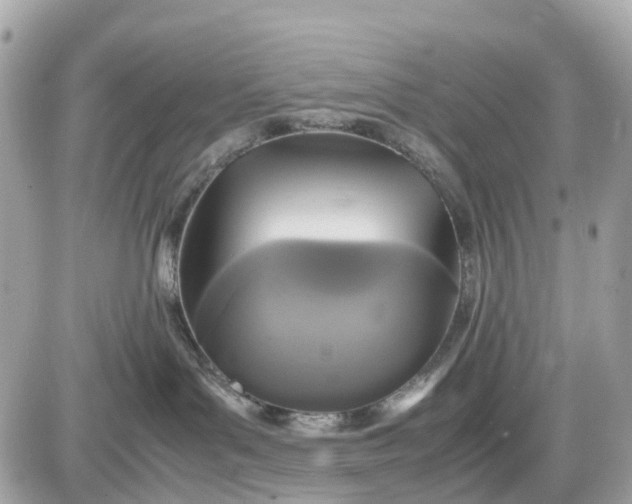X0000087540143200705112106