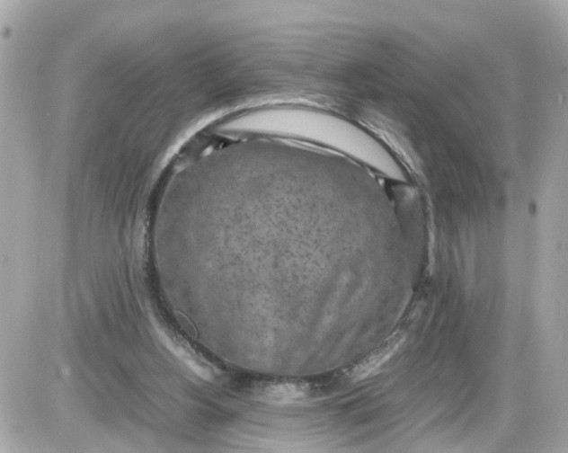 X0000087540156200705112105