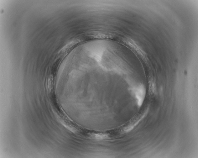 X0000087540165200705112105