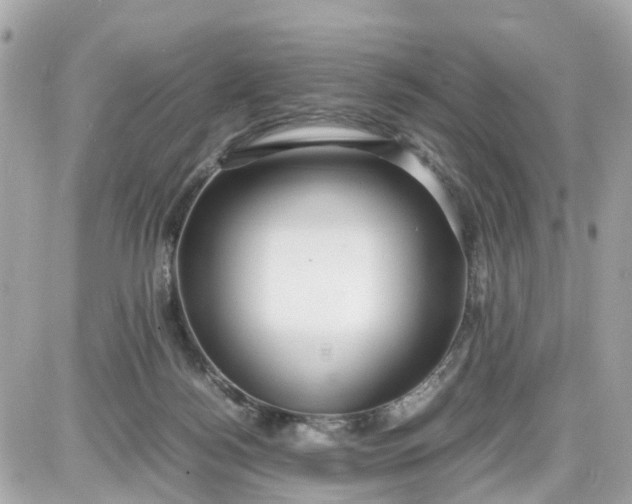 X0000087540172200705112105