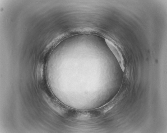 X0000087540206200705112105